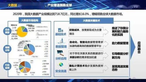 《2021中國互聯(lián)網(wǎng)發(fā)展報告》發(fā)布 互聯(lián)網(wǎng)數(shù)據(jù)服務(wù)迎來新機遇